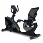 دوچرخه ثابت مبله فرش وی مدل 8719RP